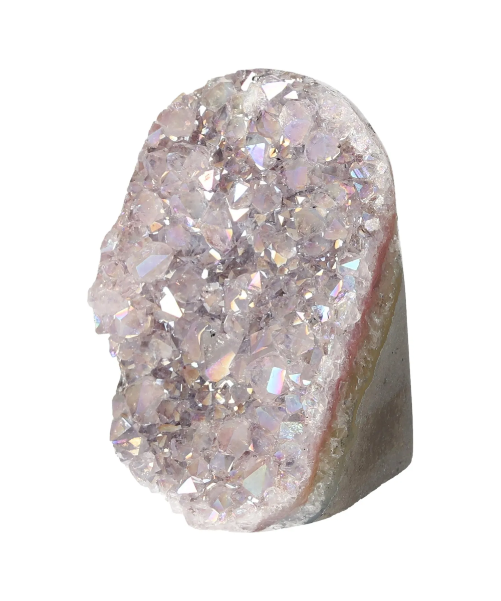 orbitvu|type:image2d