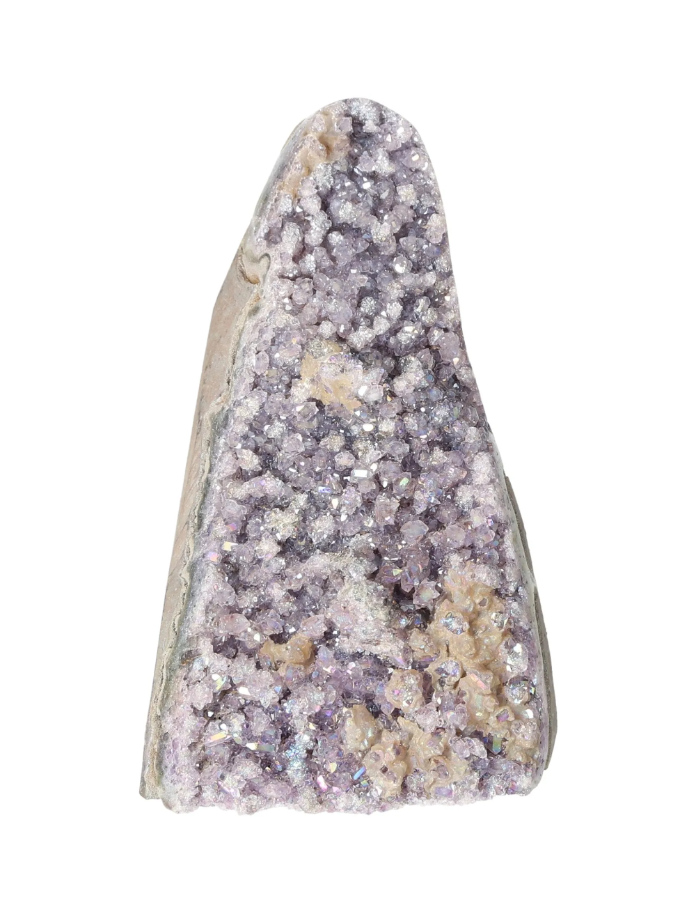 orbitvu|type:image2d