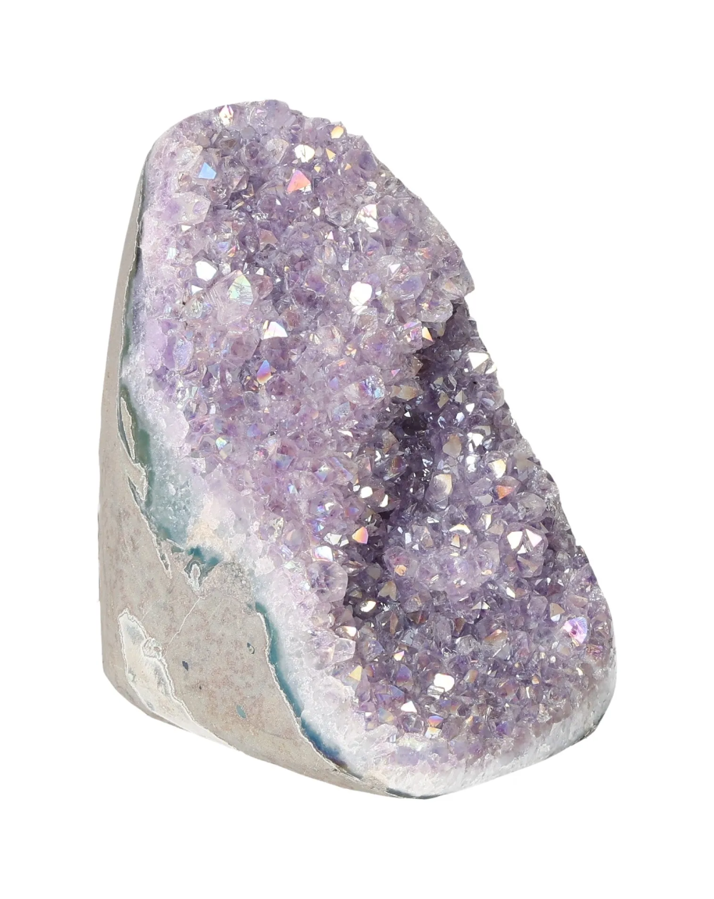 orbitvu|type:image2d