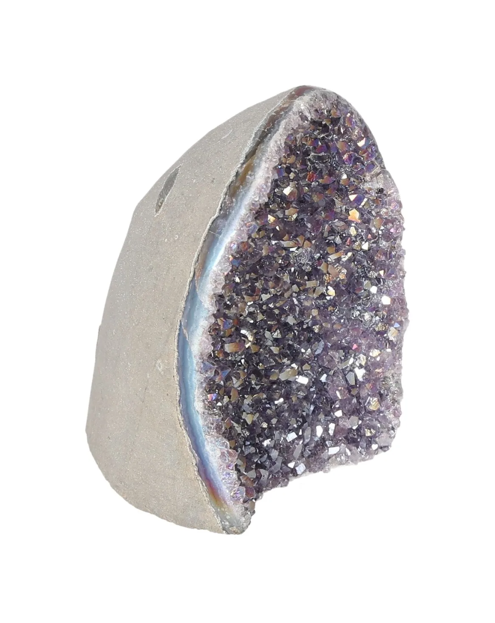 orbitvu|type:image2d