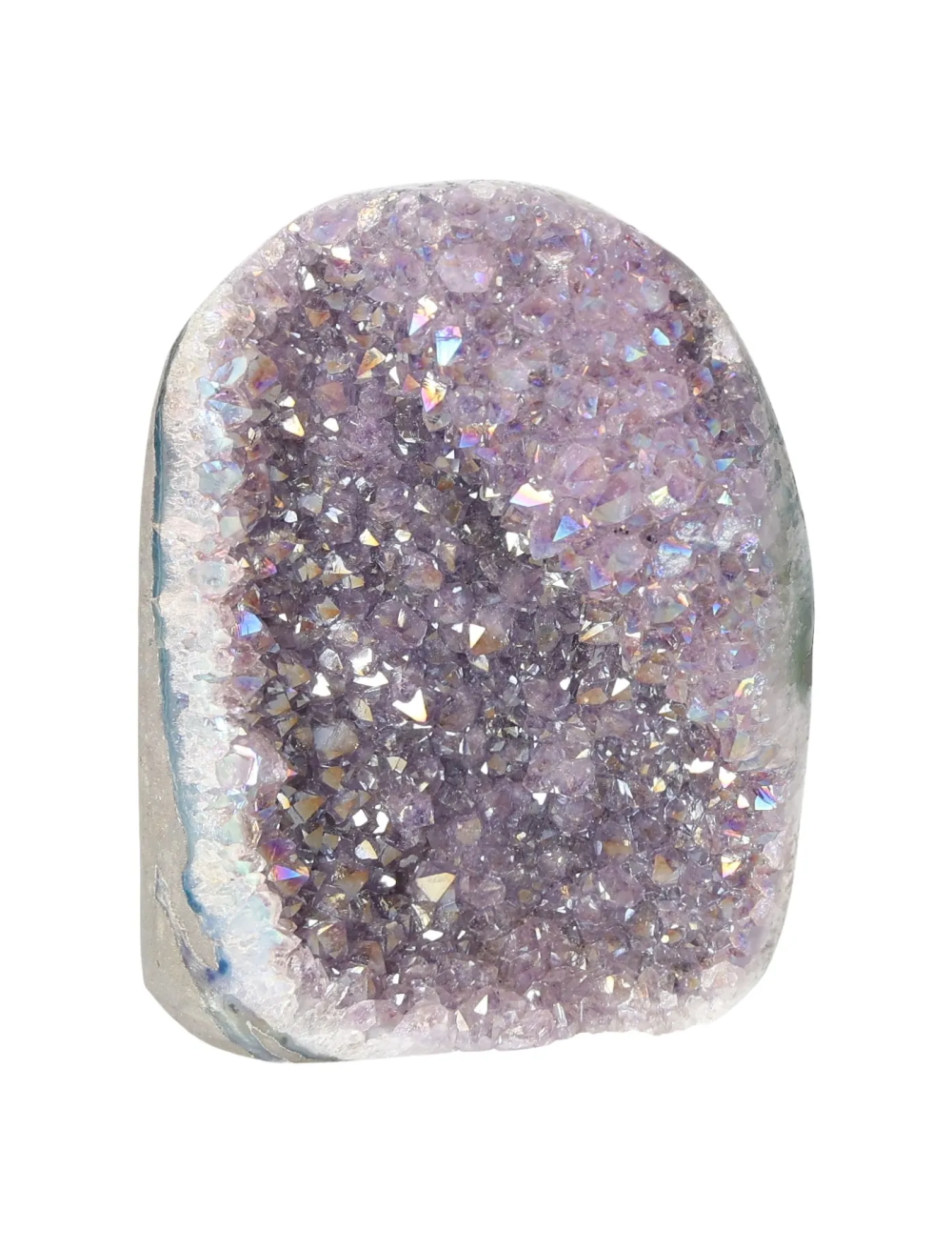 orbitvu|type:image2d