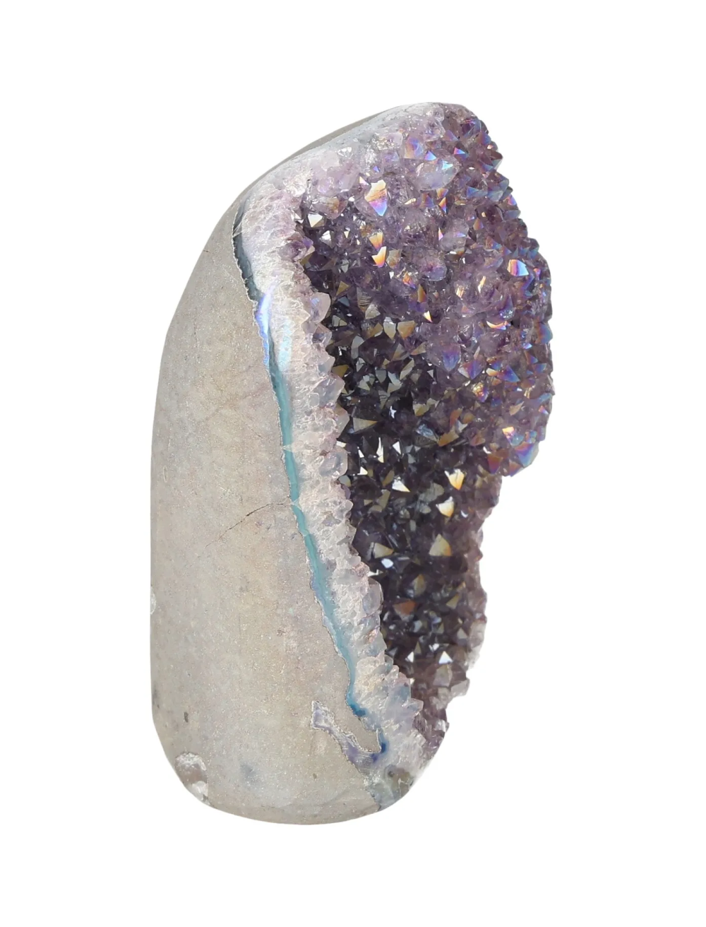 orbitvu|type:image2d