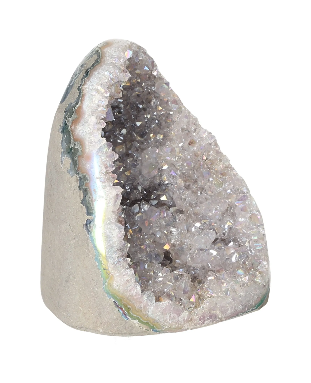 orbitvu|type:image2d