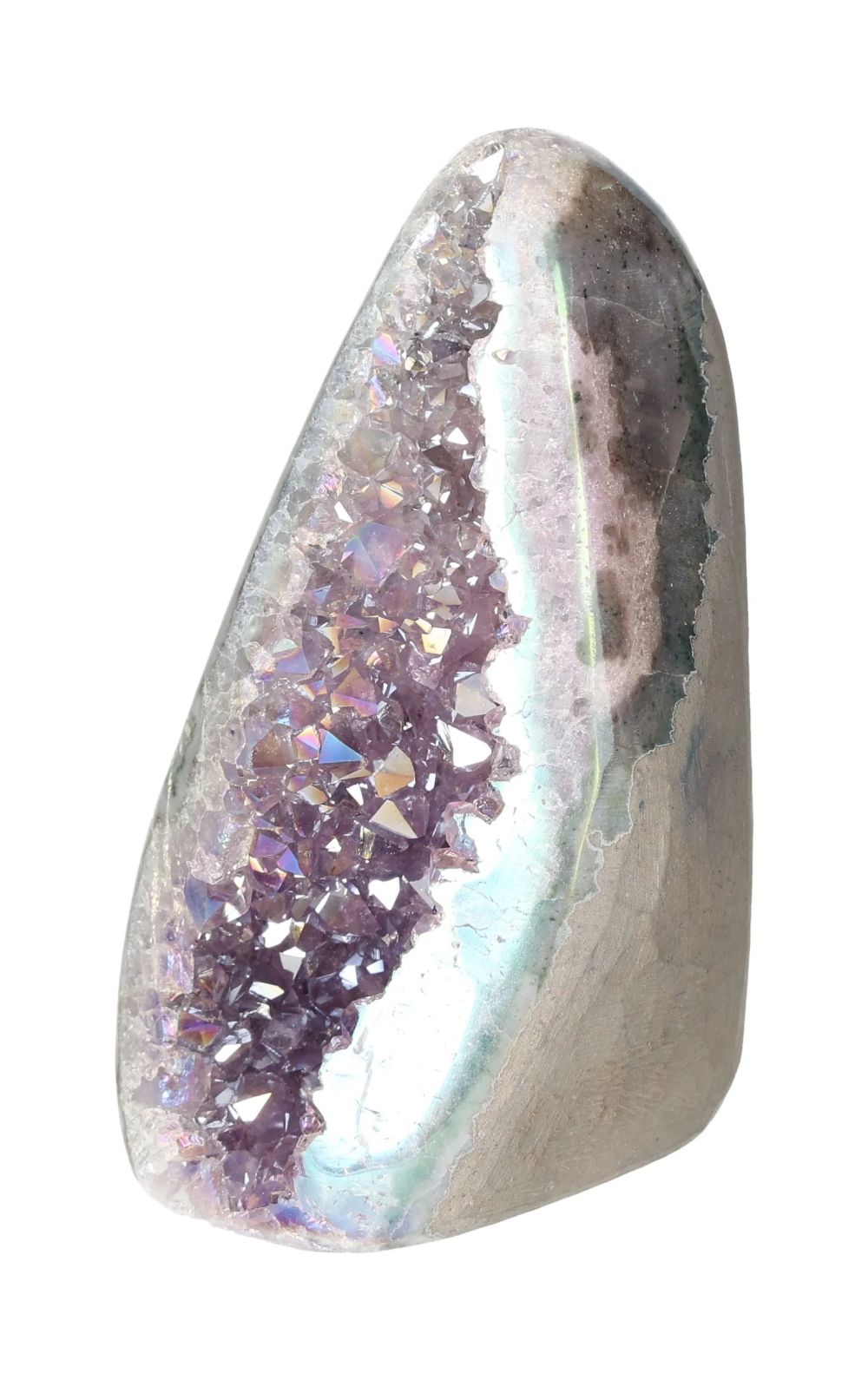 orbitvu|type:image2d