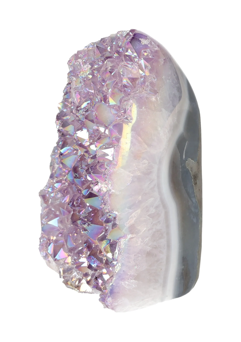 orbitvu|type:image2d