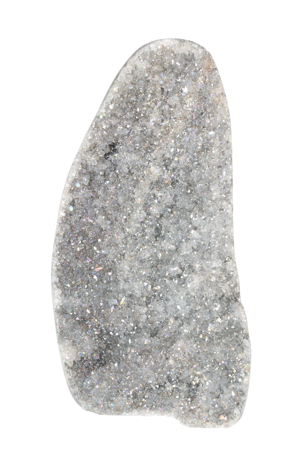 orbitvu|type:image2d