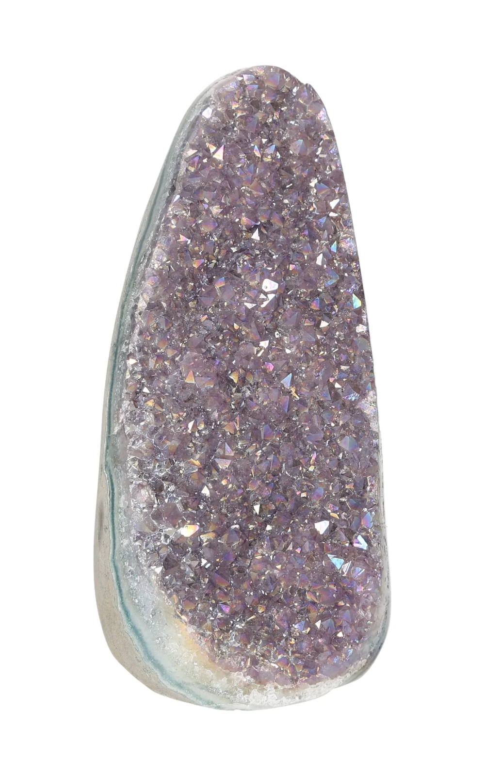 orbitvu|type:image2d