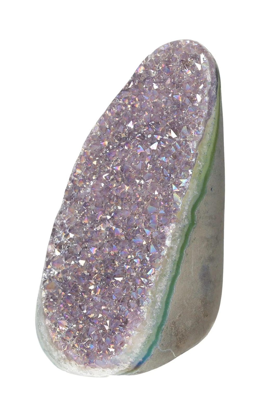 orbitvu|type:image2d