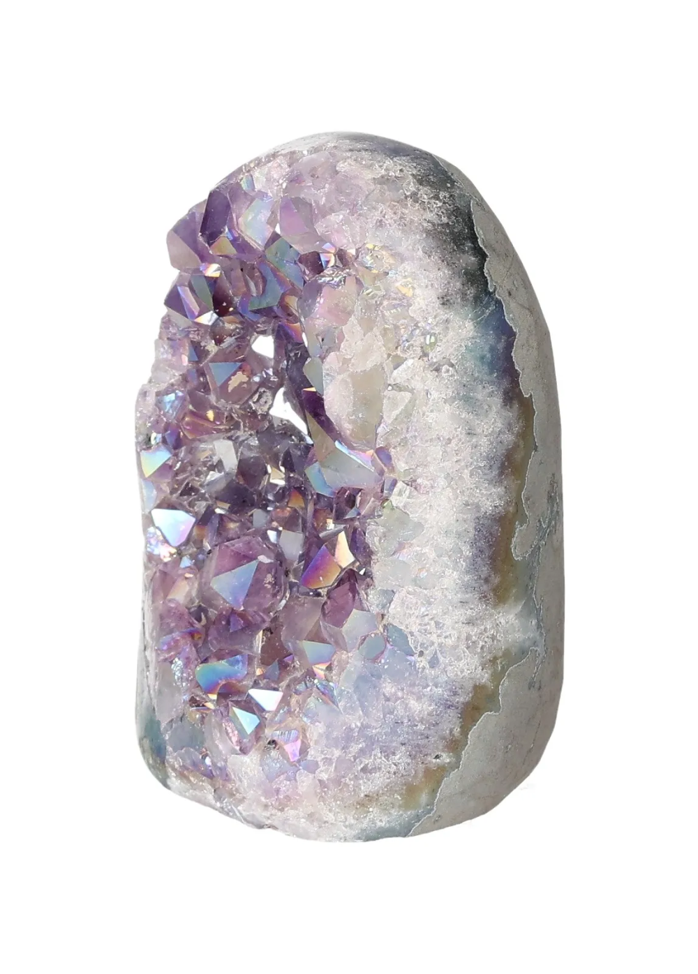 orbitvu|type:image2d