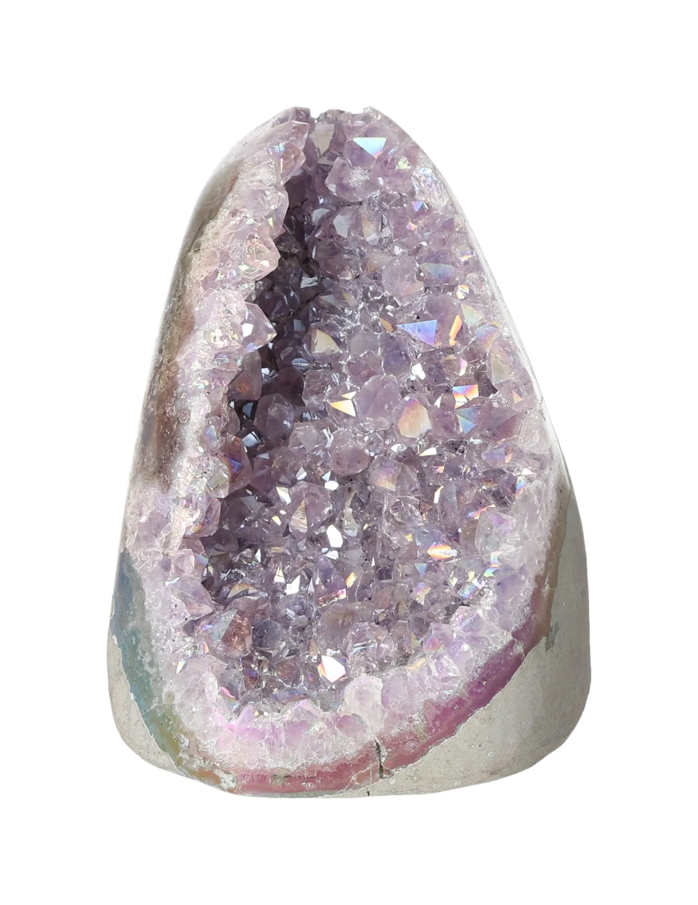 orbitvu|type:image2d