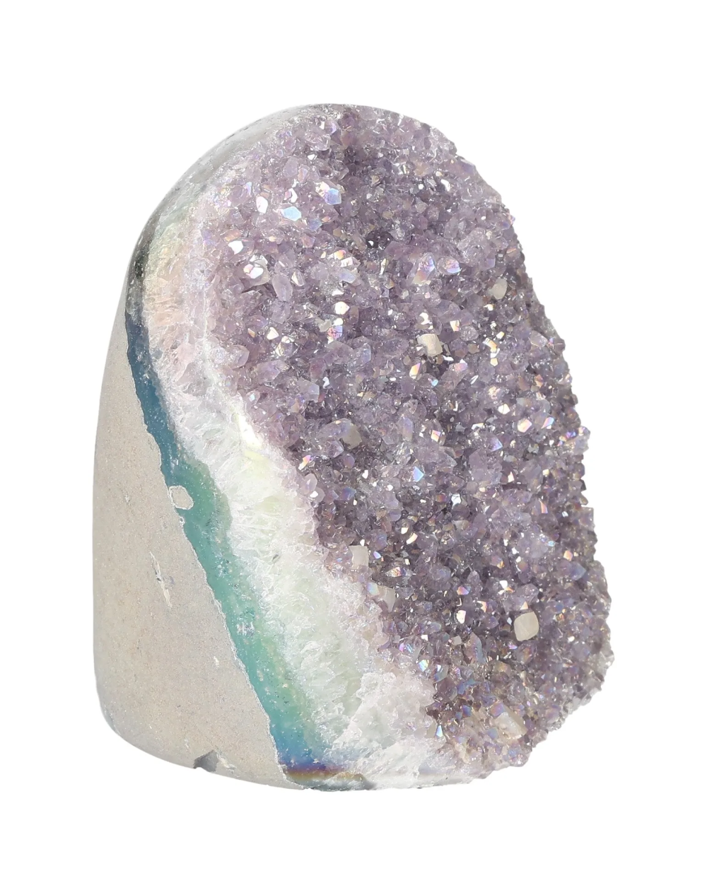 orbitvu|type:image2d