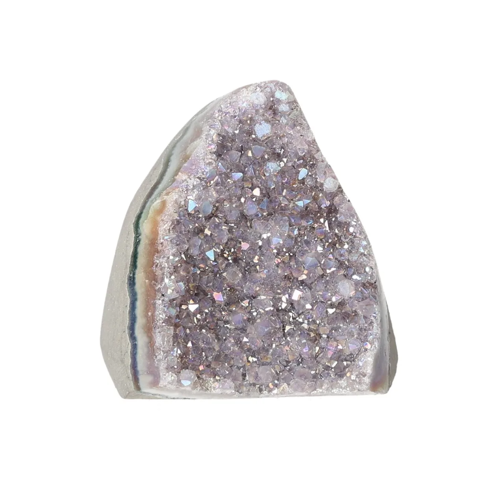 orbitvu|type:image2d