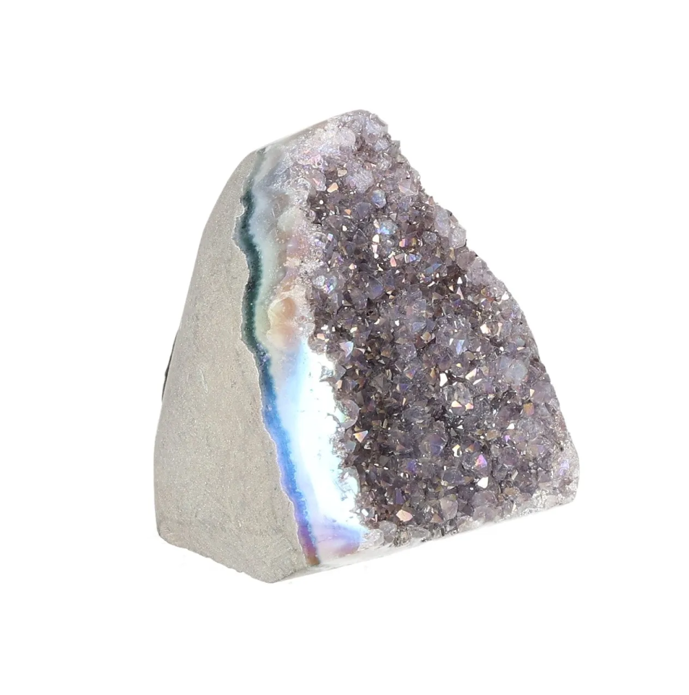 orbitvu|type:image2d