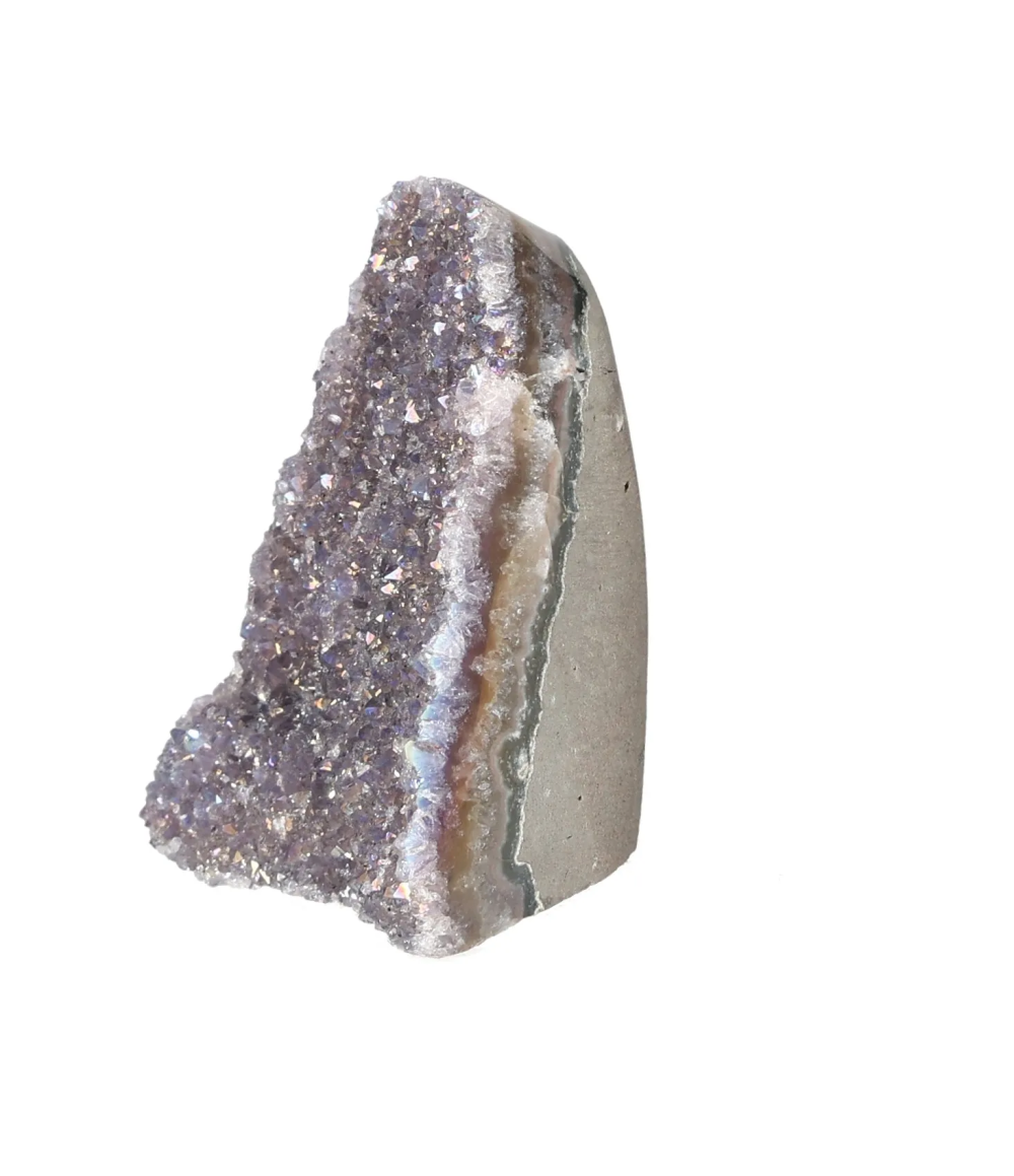 orbitvu|type:image2d