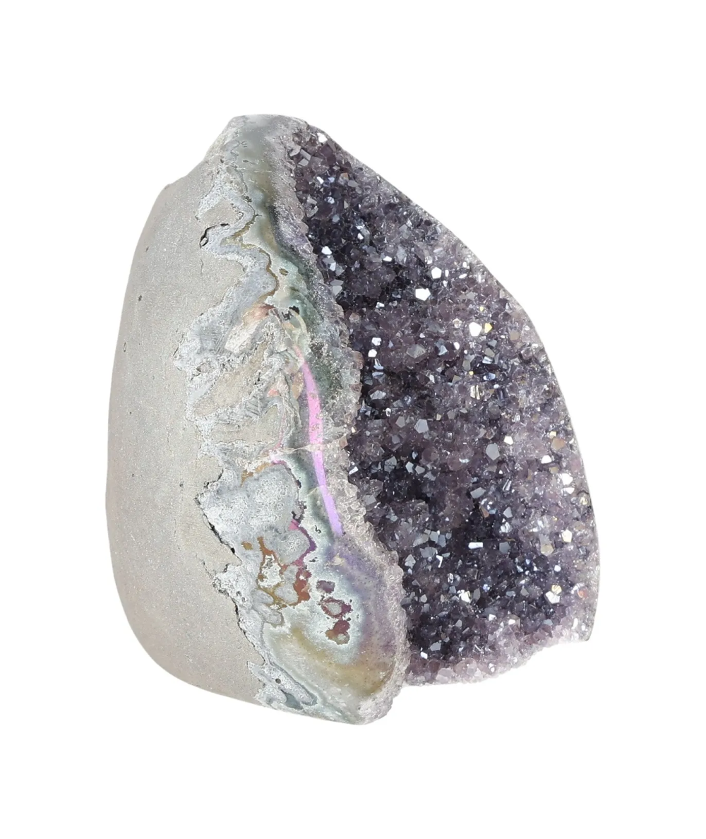 orbitvu|type:image2d