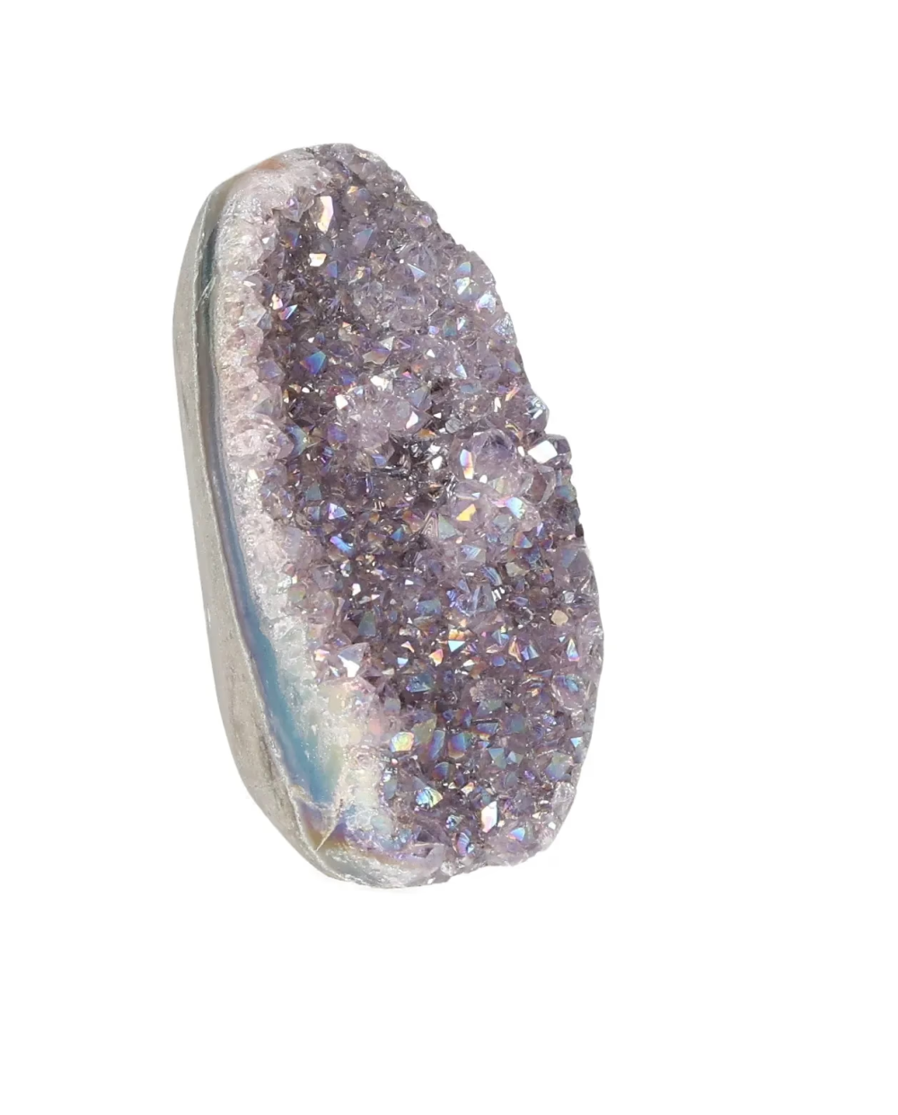 orbitvu|type:image2d