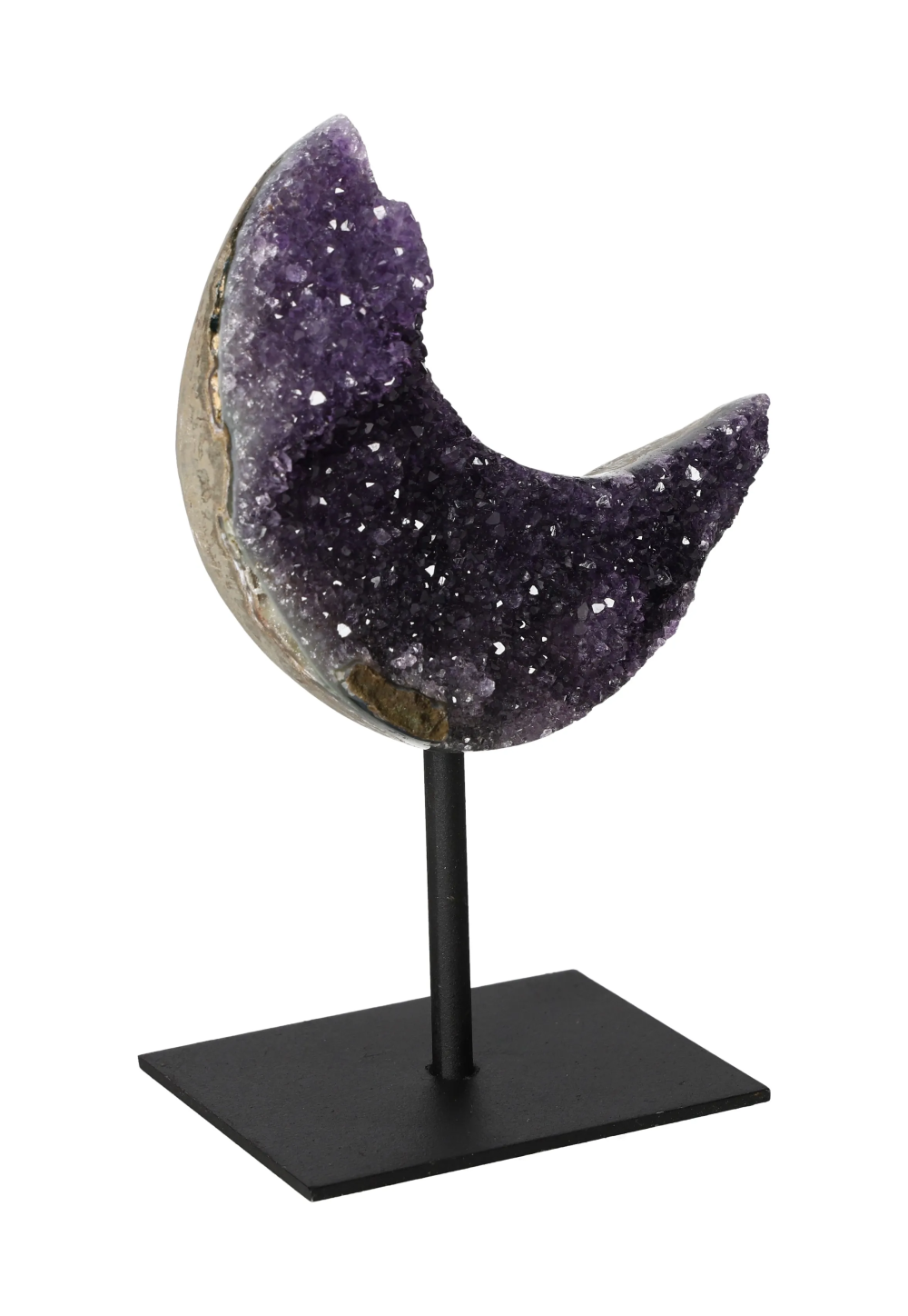 orbitvu|type:image2d