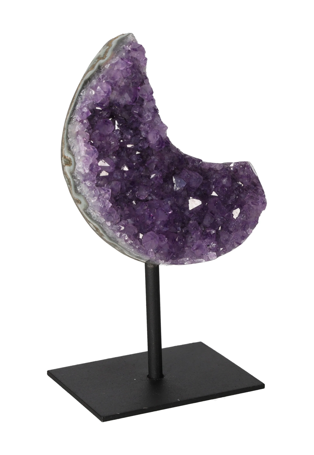 orbitvu|type:image2d