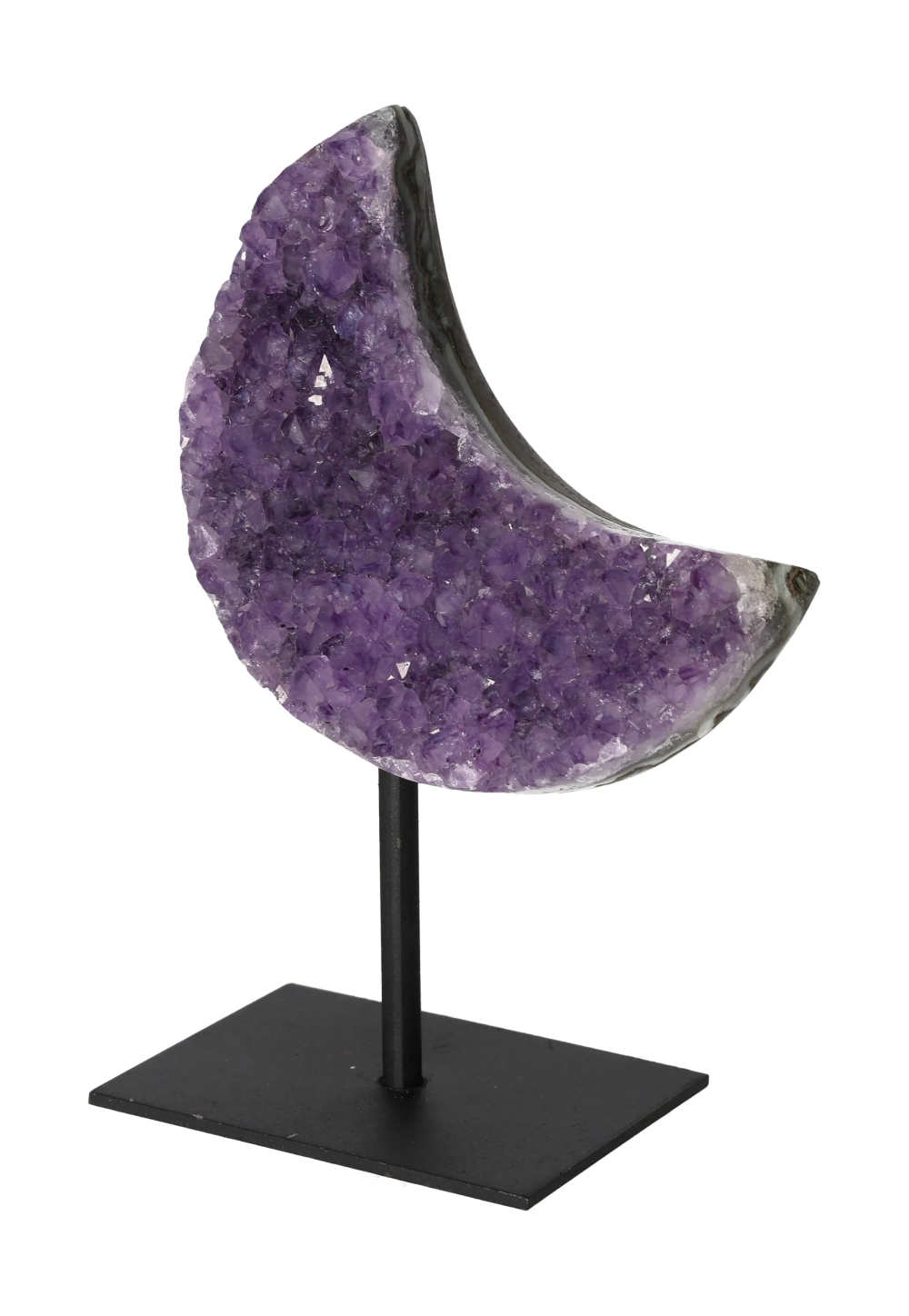 orbitvu|type:image2d