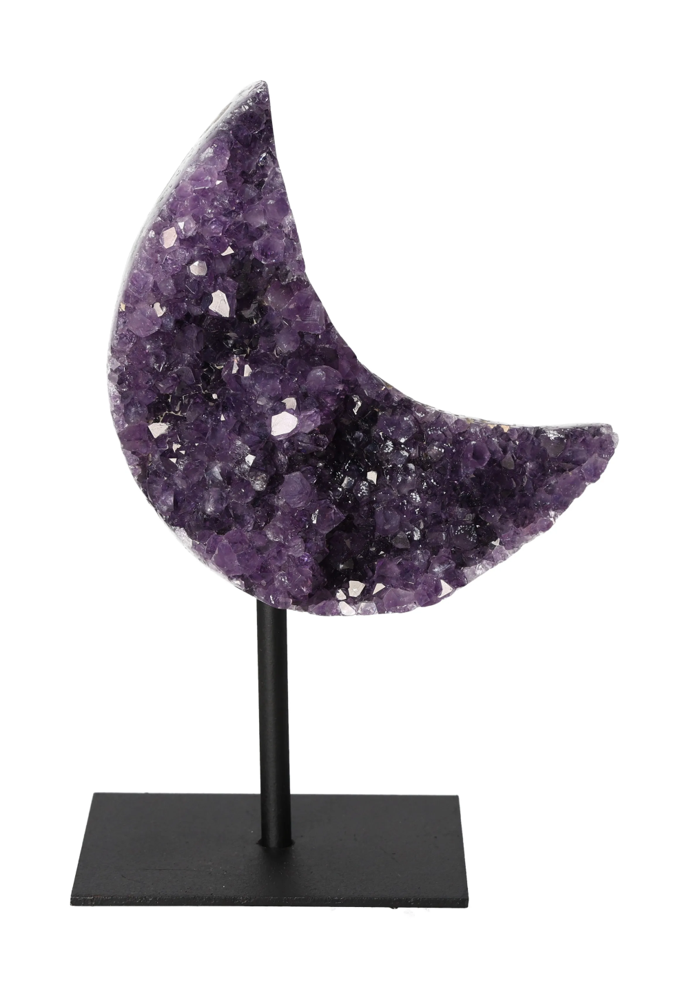 orbitvu|type:image2d