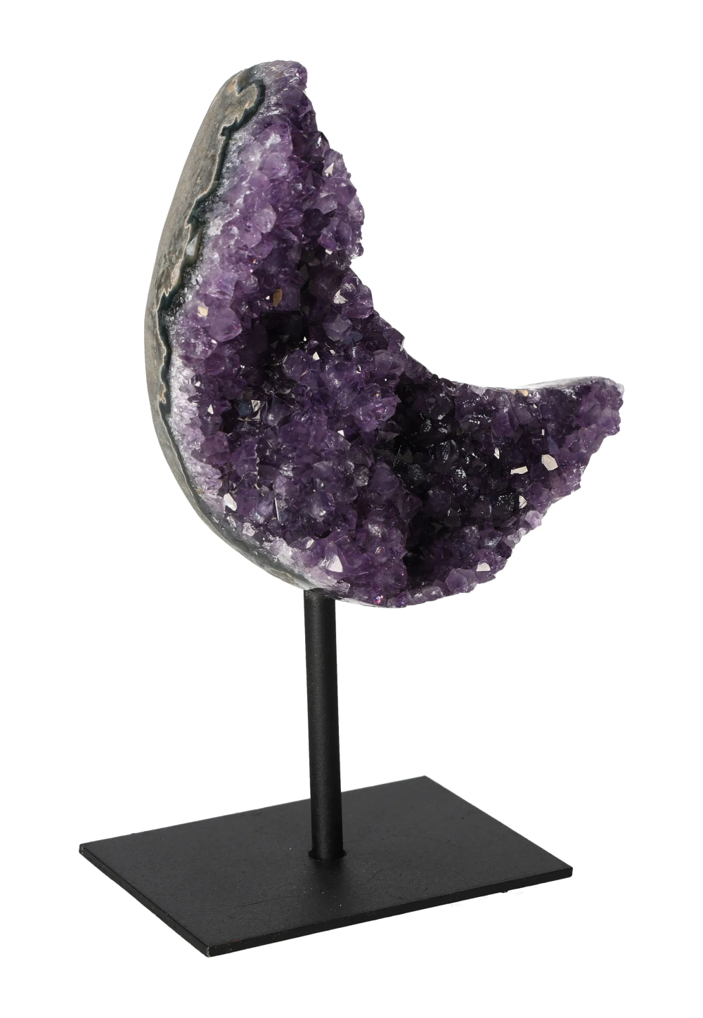 orbitvu|type:image2d