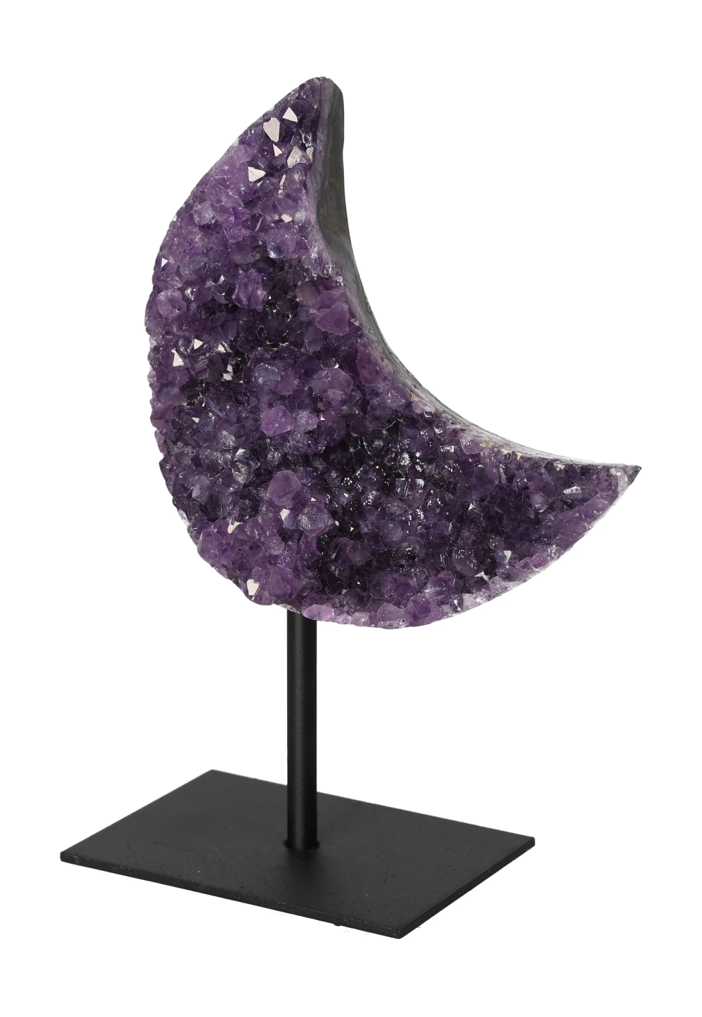 orbitvu|type:image2d