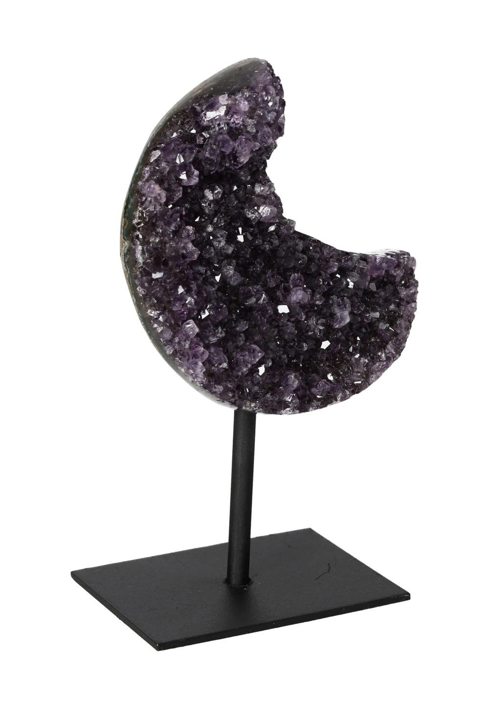 orbitvu|type:image2d