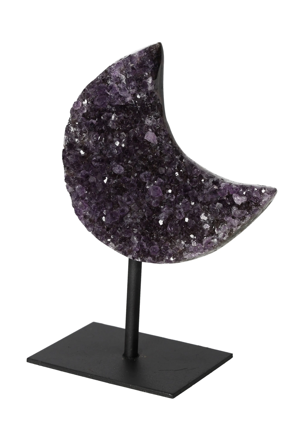 orbitvu|type:image2d