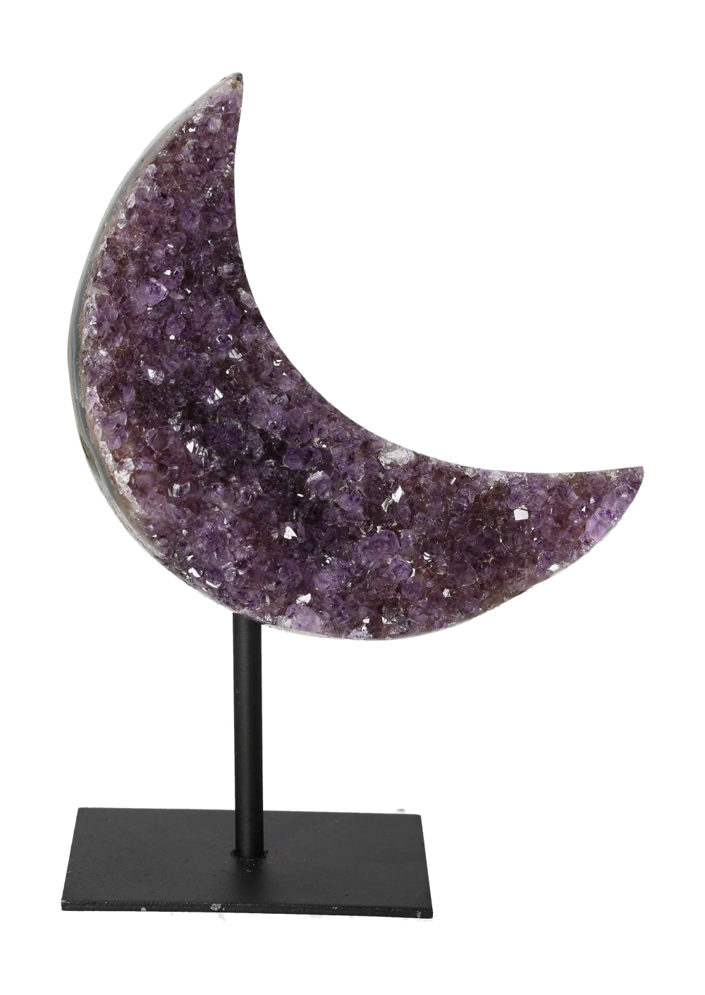 orbitvu|type:image2d