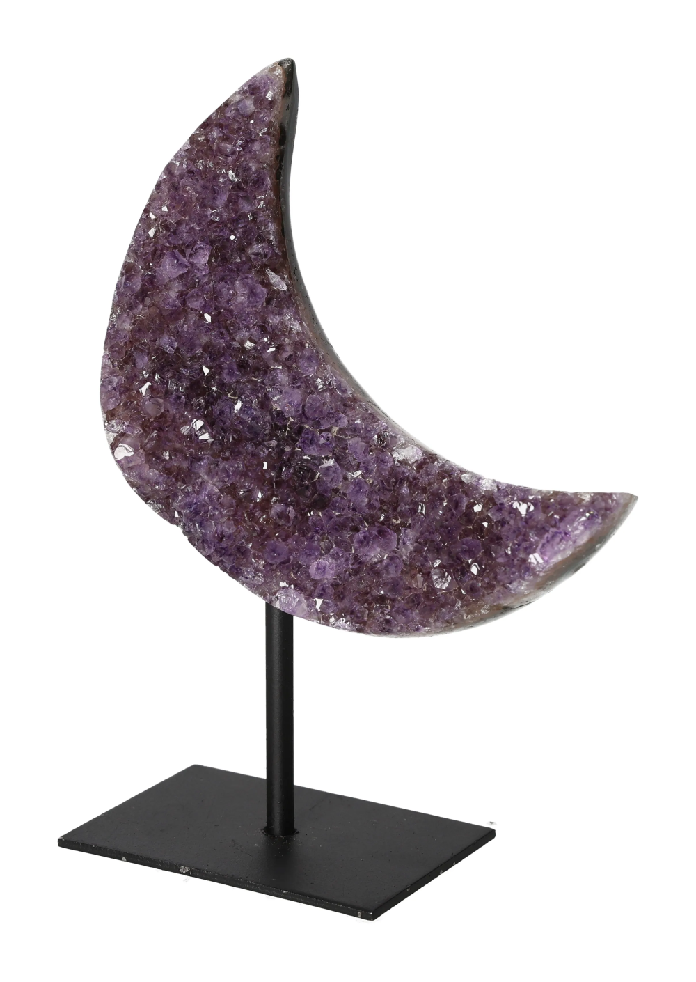 orbitvu|type:image2d