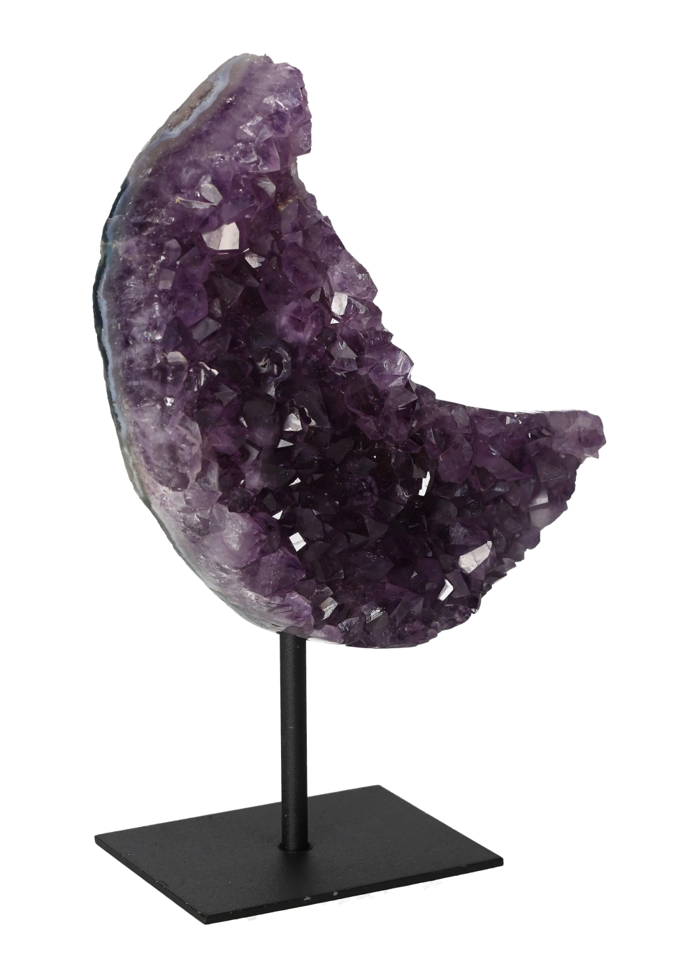 orbitvu|type:image2d