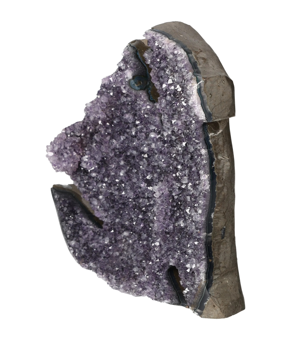 orbitvu|type:image2d