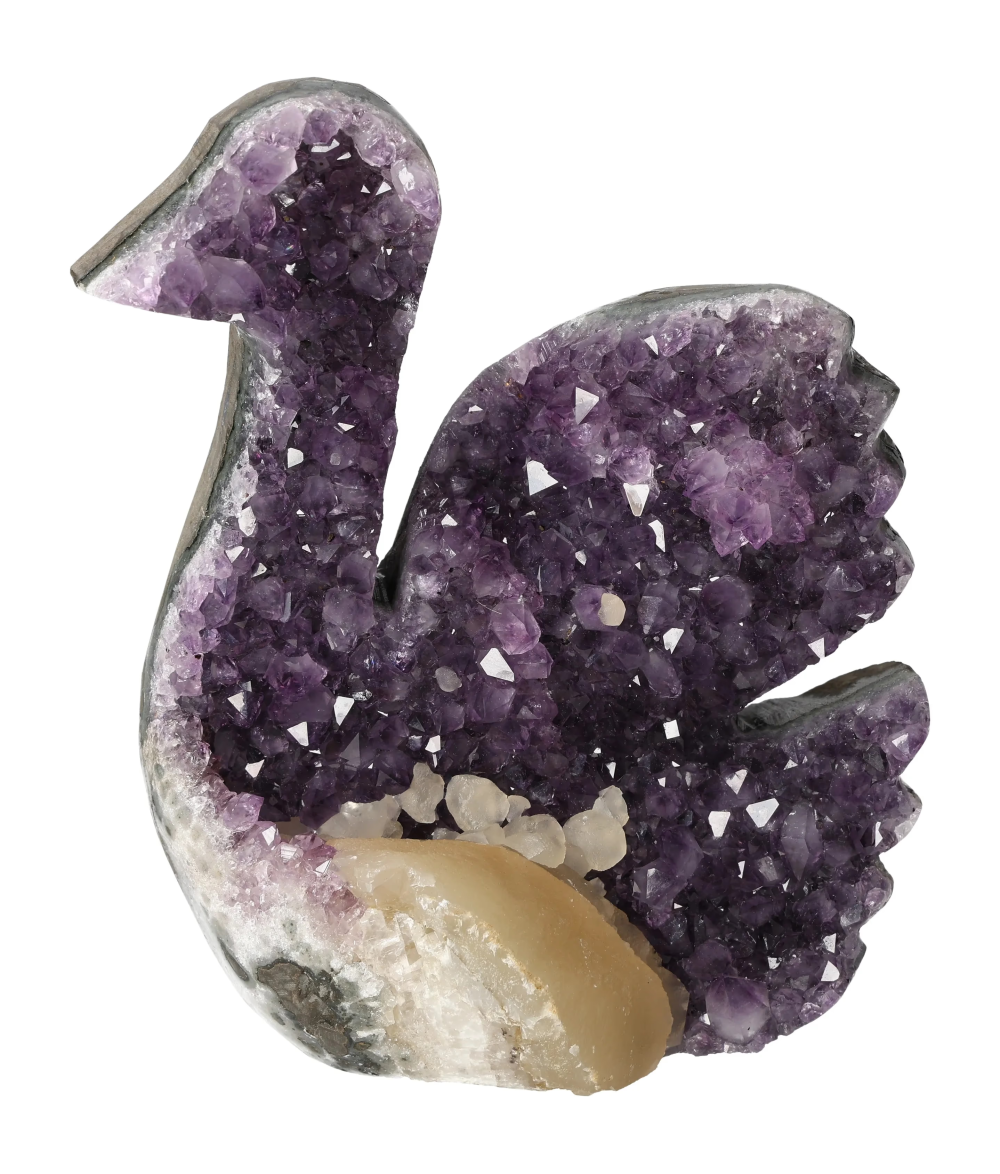 orbitvu|type:image2d