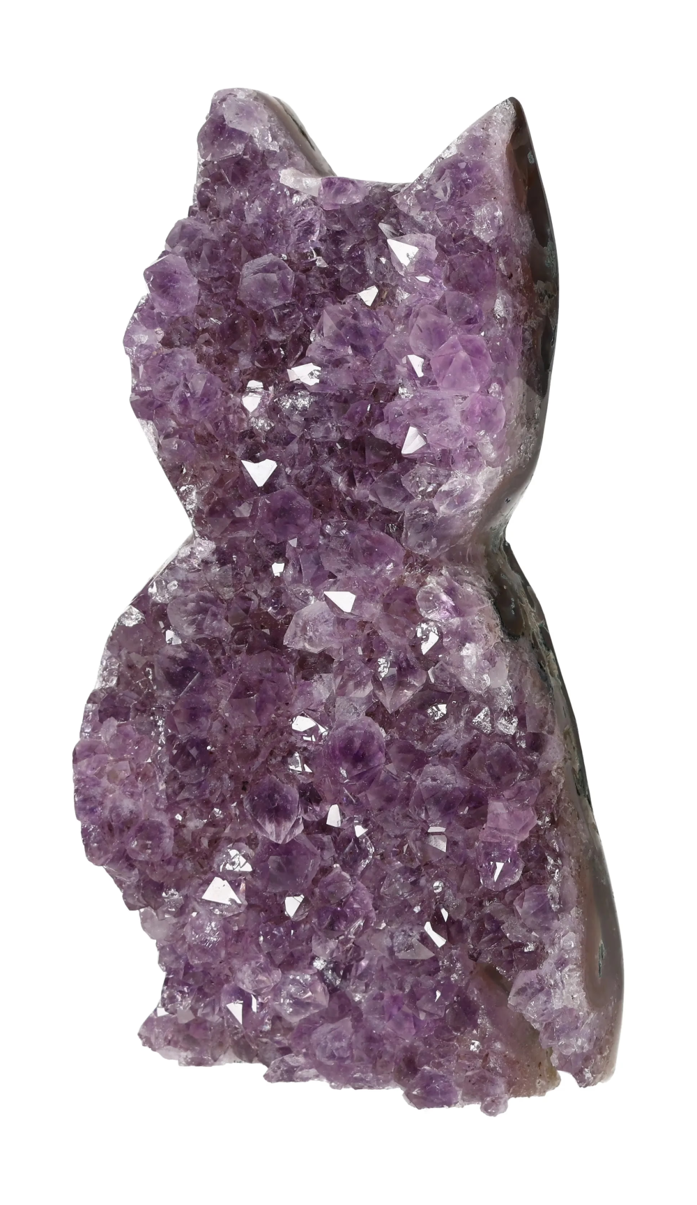 orbitvu|type:image2d