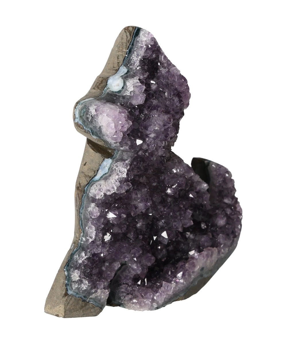 orbitvu|type:image2d