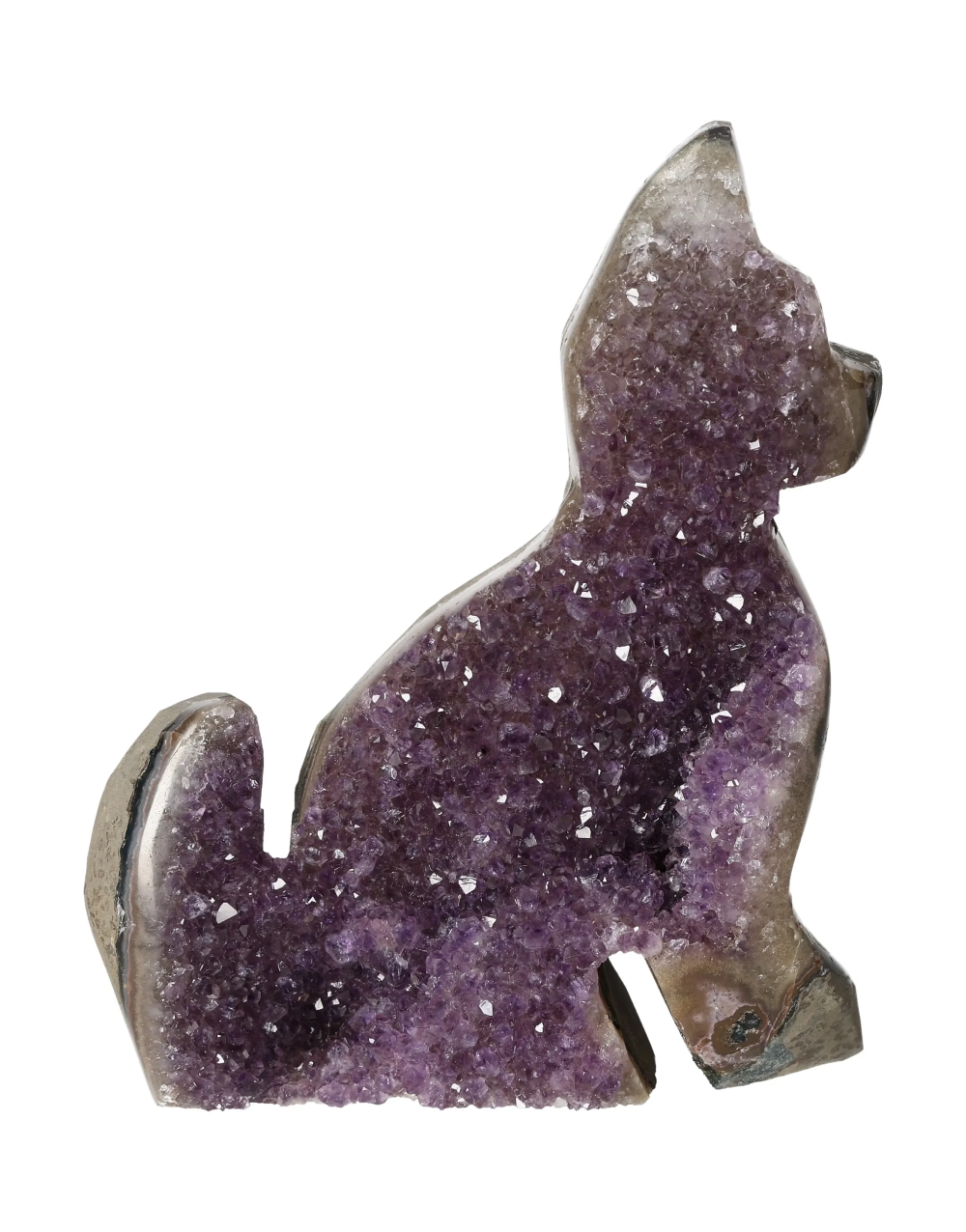 orbitvu|type:image2d