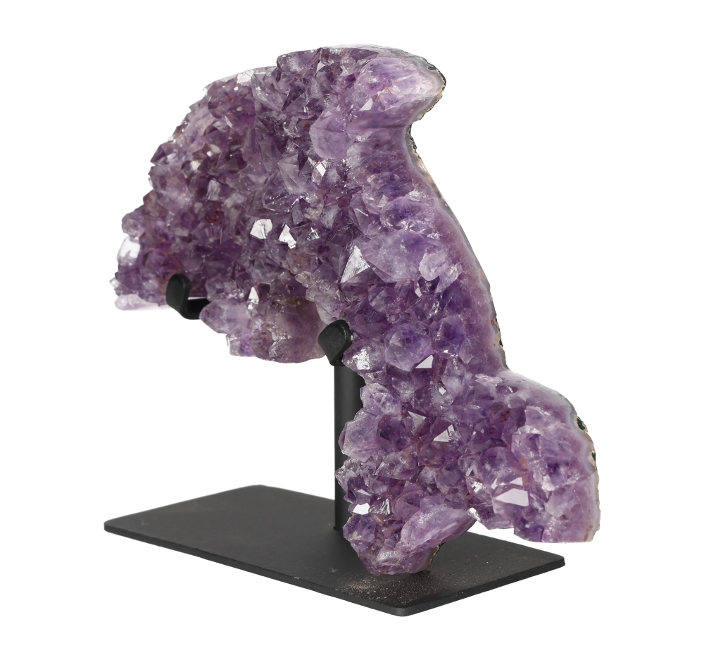 orbitvu|type:image2d