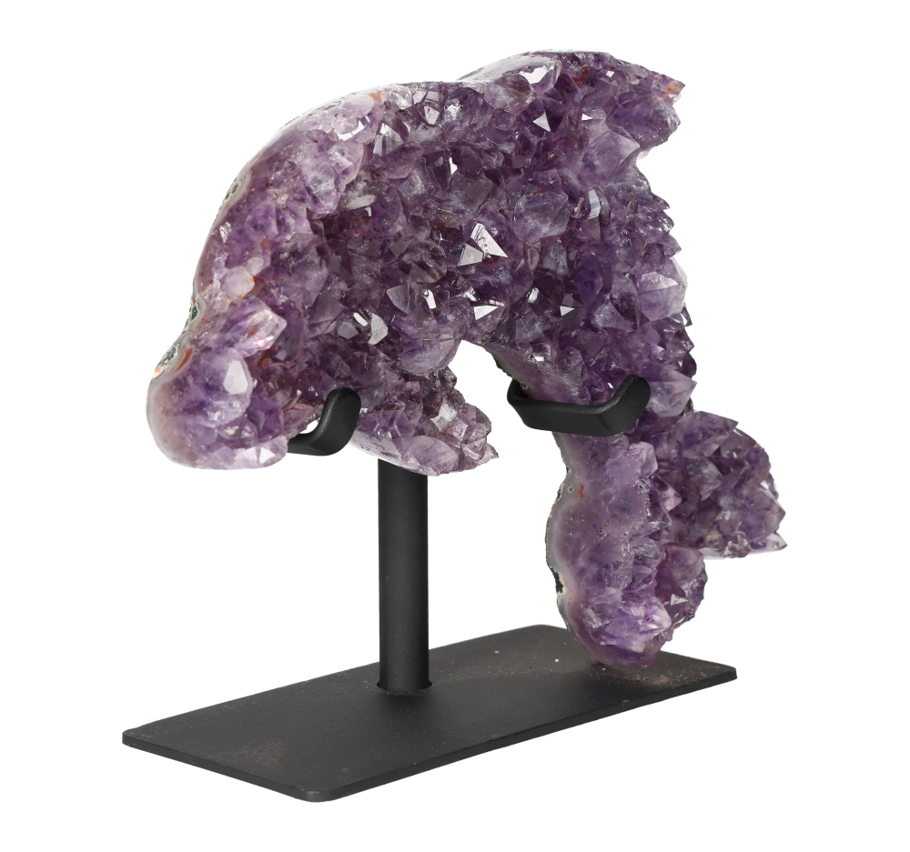 orbitvu|type:image2d