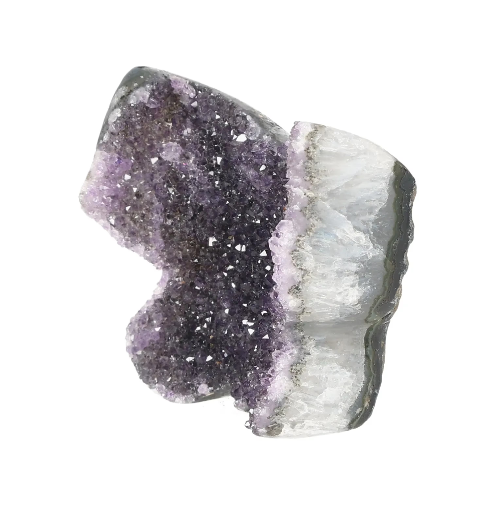 orbitvu|type:image2d