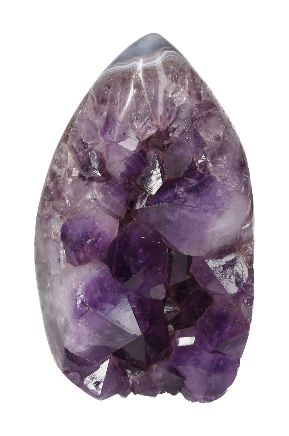 orbitvu|type:image2d