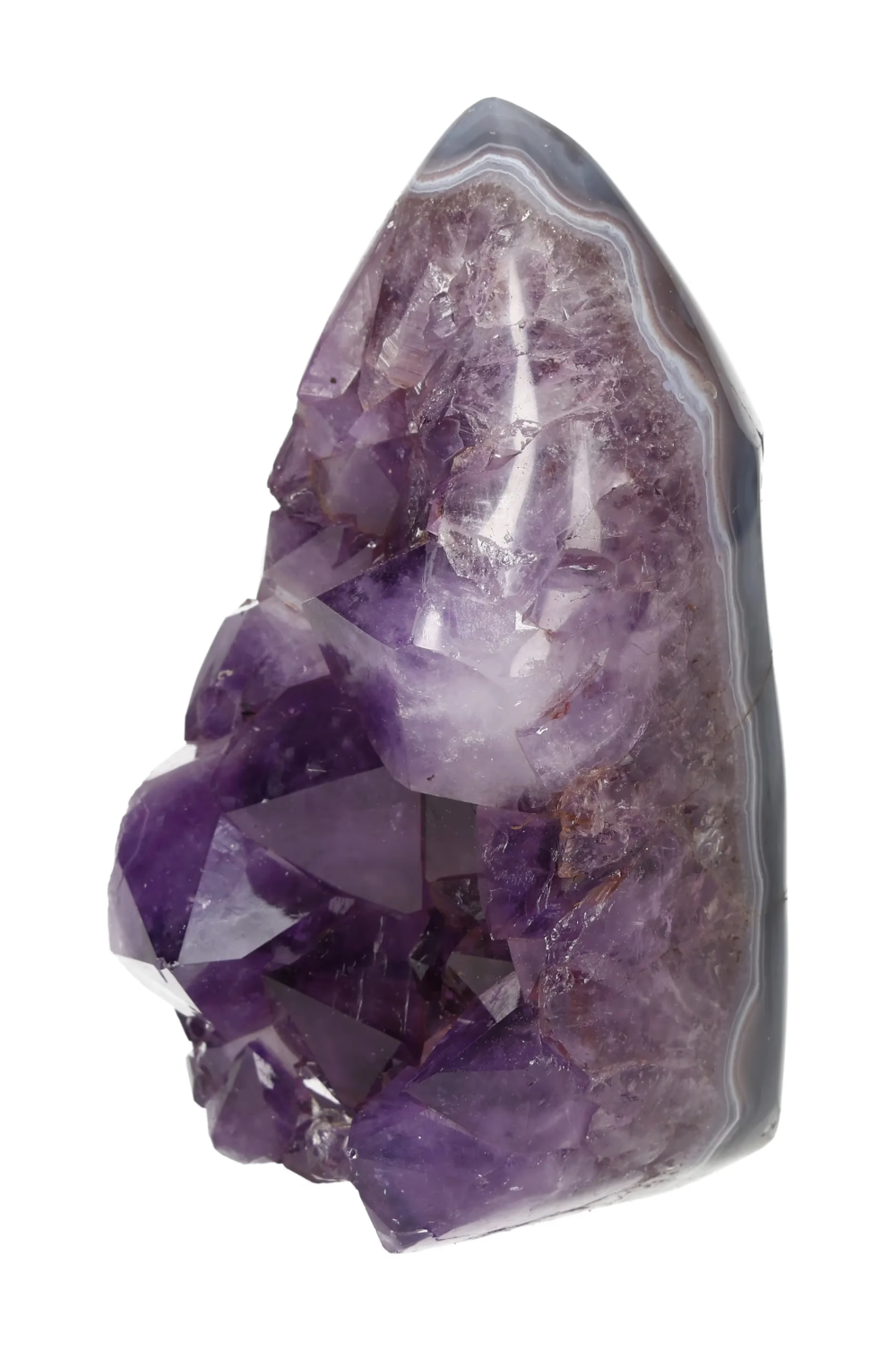 orbitvu|type:image2d