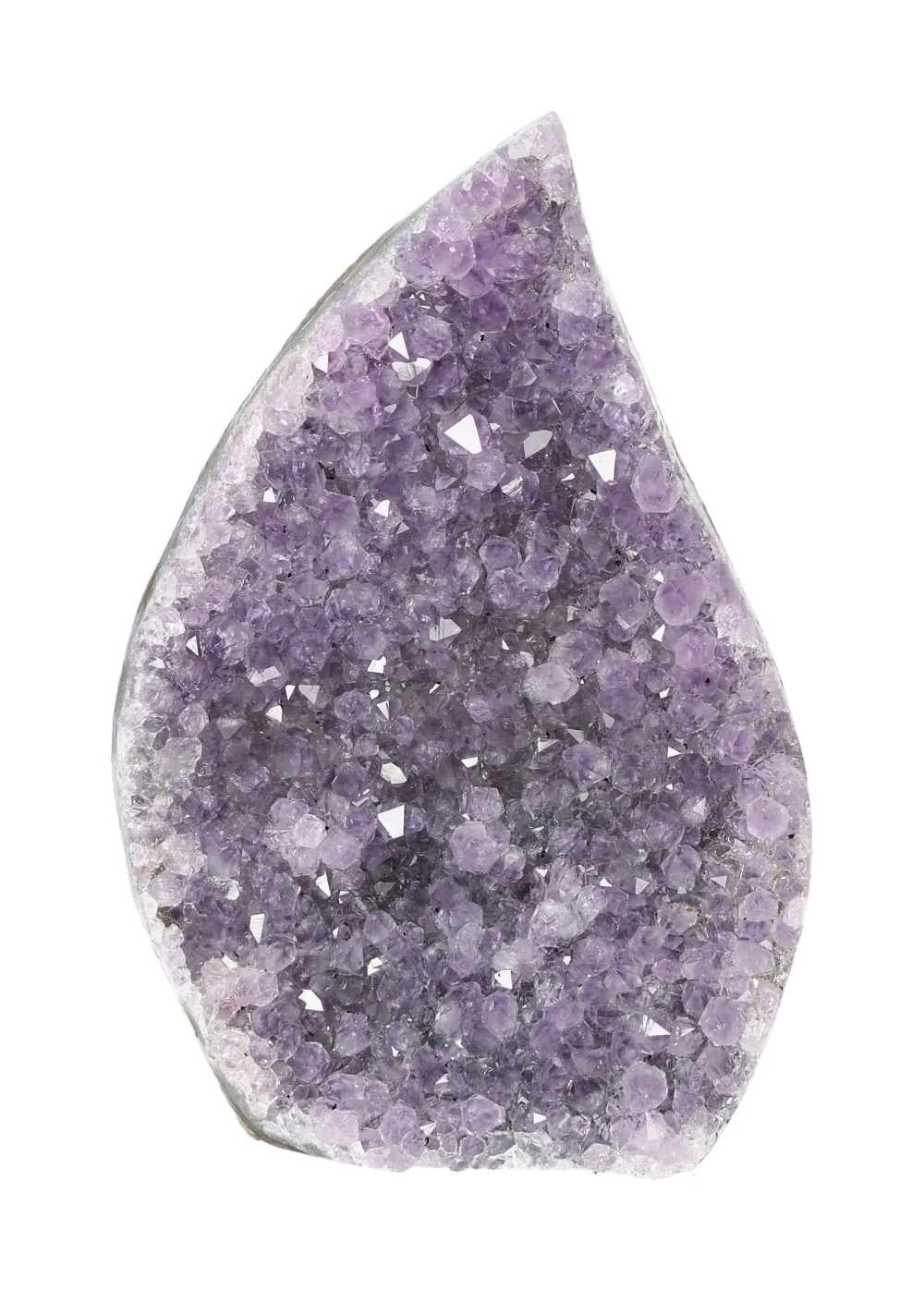 orbitvu|type:image2d