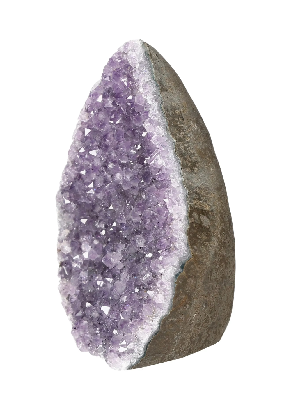 orbitvu|type:image2d