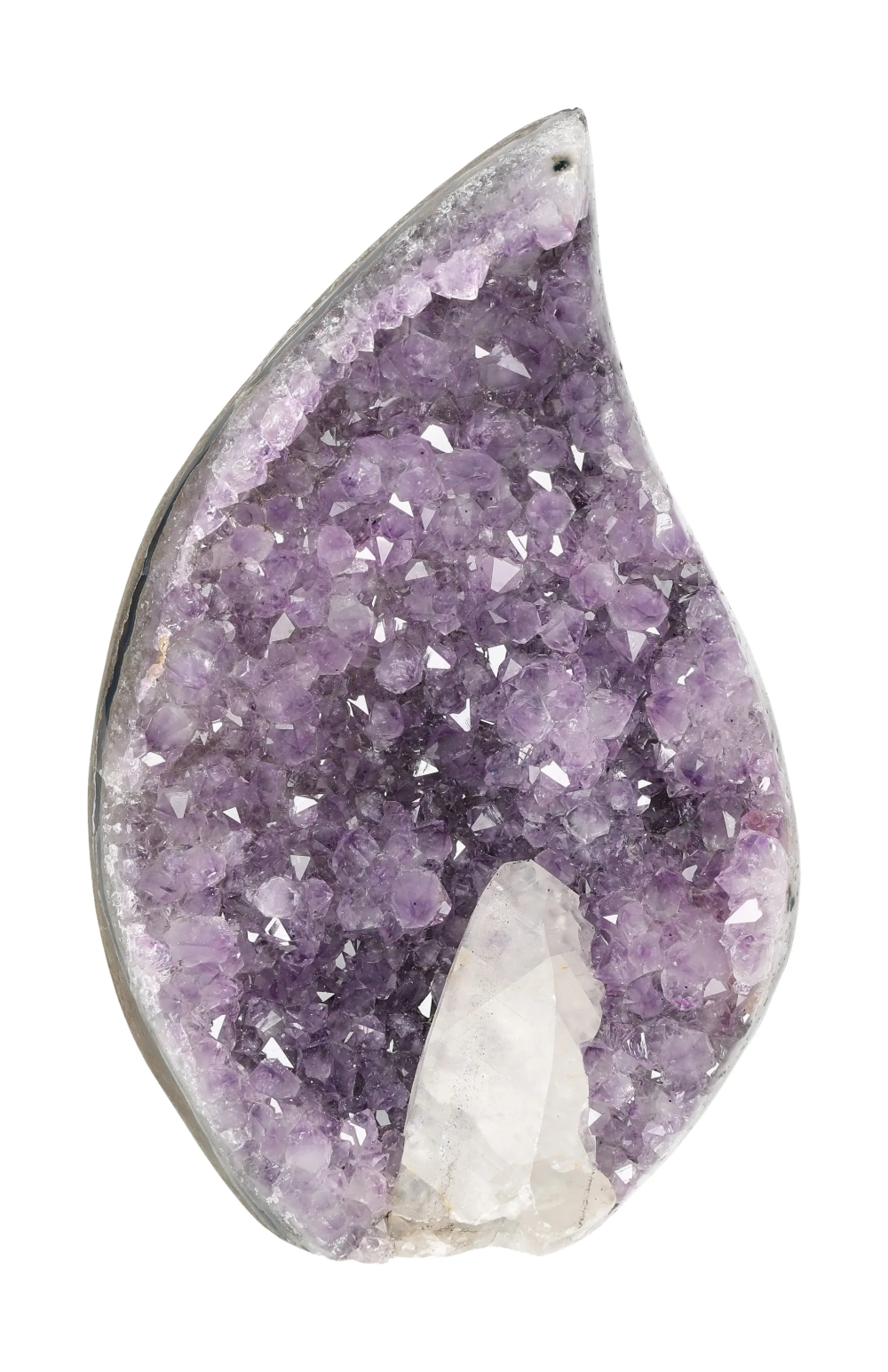 orbitvu|type:image2d