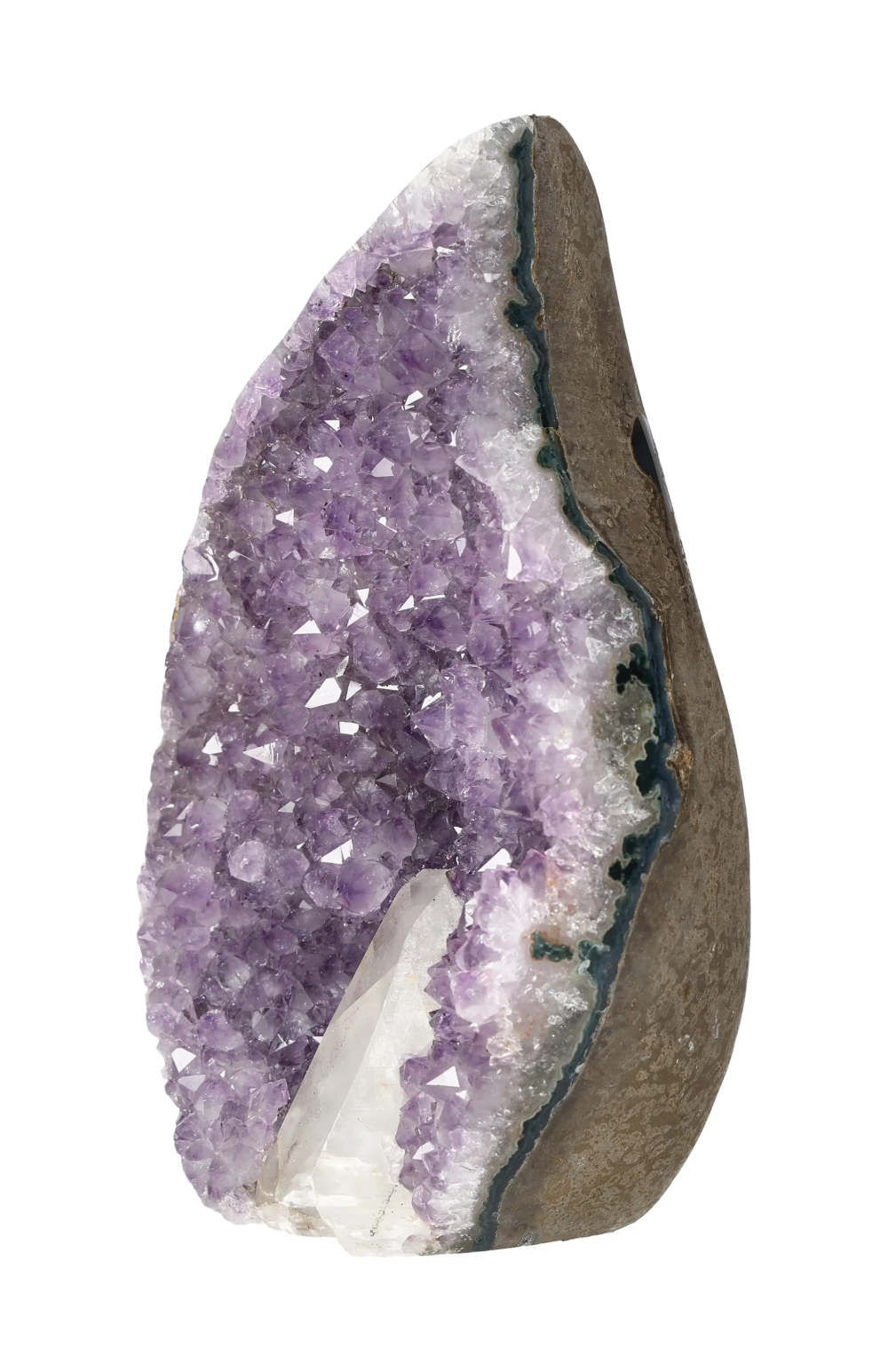 orbitvu|type:image2d