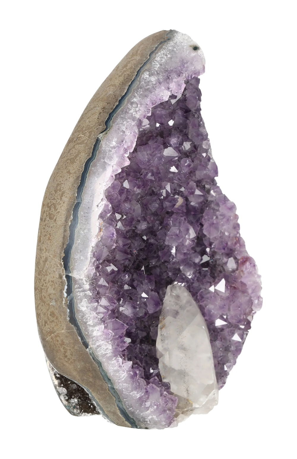 orbitvu|type:image2d