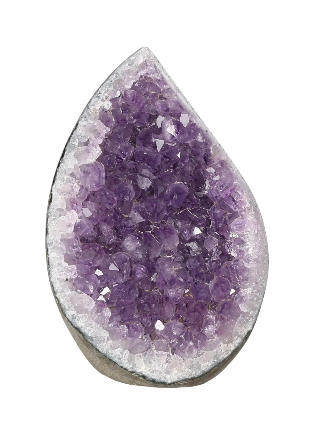 orbitvu|type:image2d