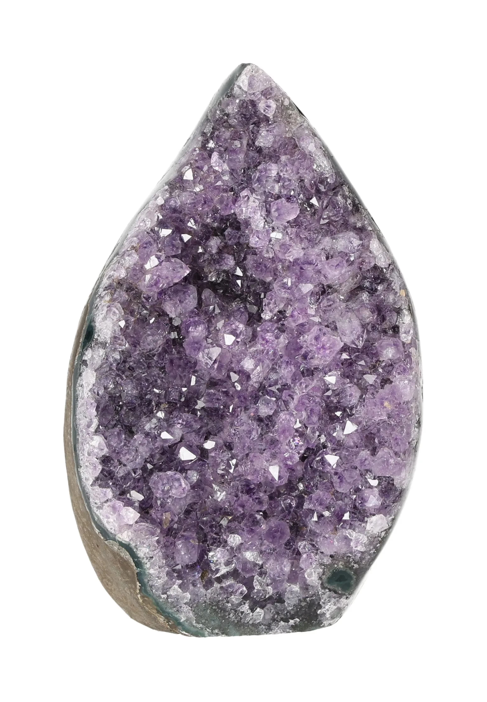 orbitvu|type:image2d