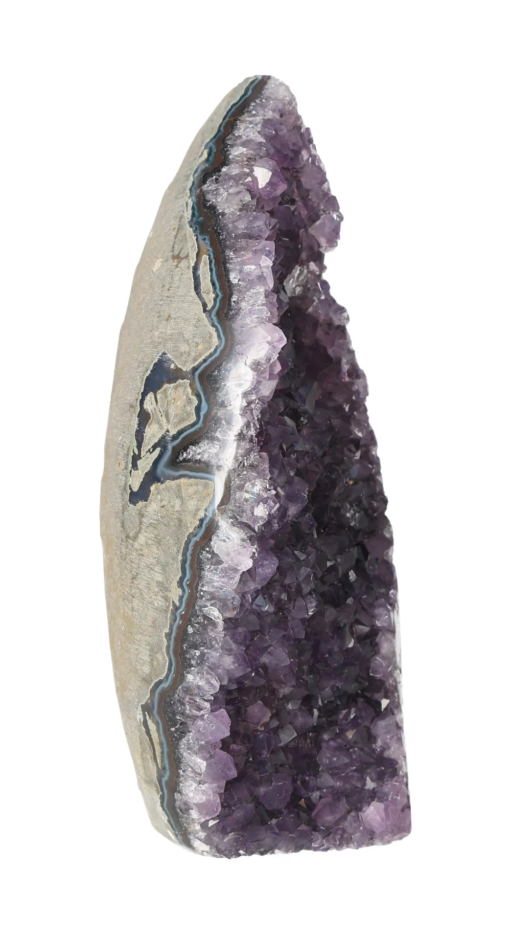 orbitvu|type:image2d