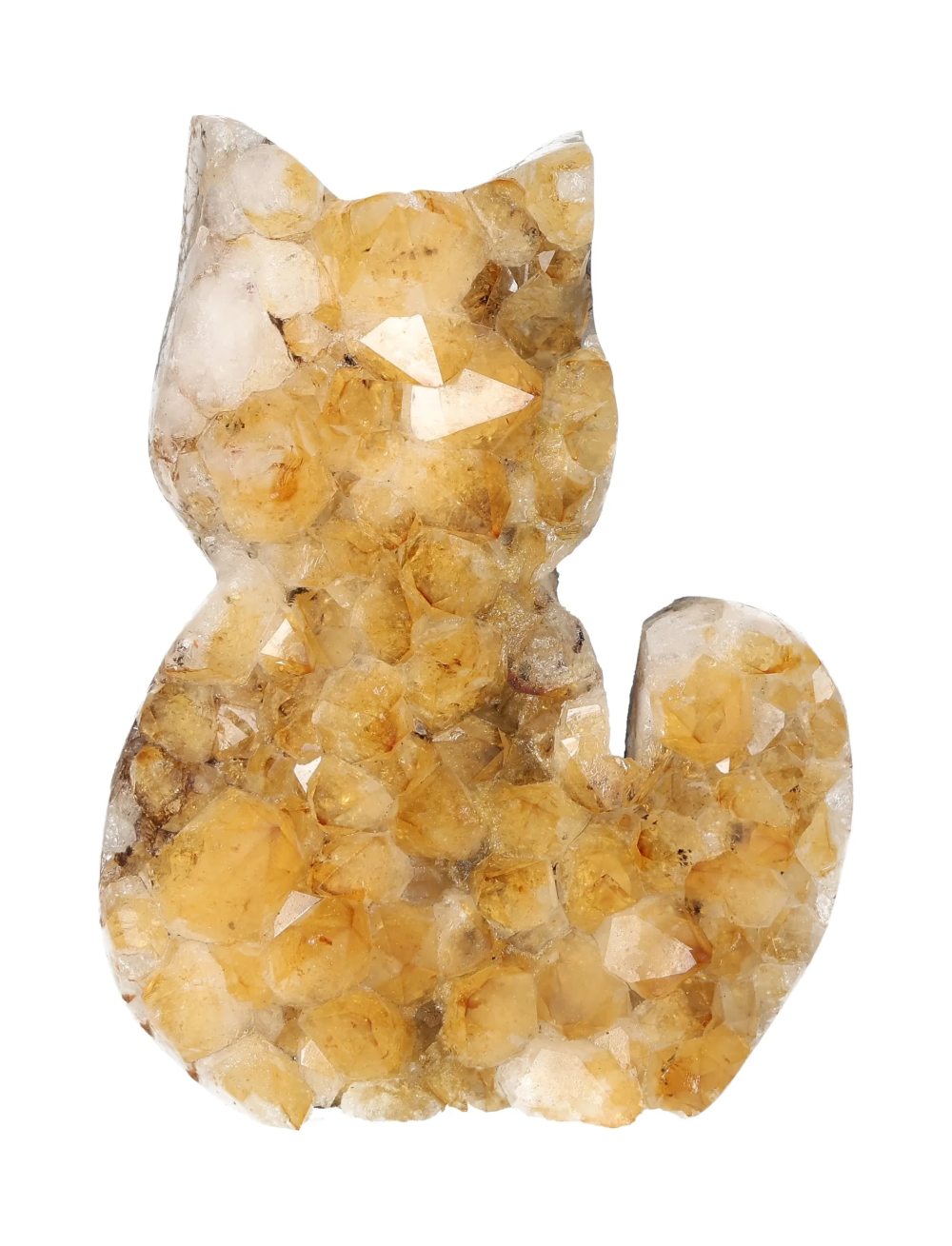 orbitvu|type:image2d